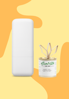 Pack Difusor + 1 Lata Sani Air Apple Jack